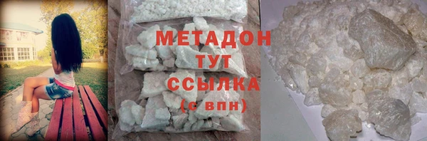 шишки Арсеньев