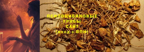 шишки Арсеньев