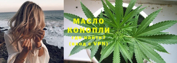 шишки Арсеньев