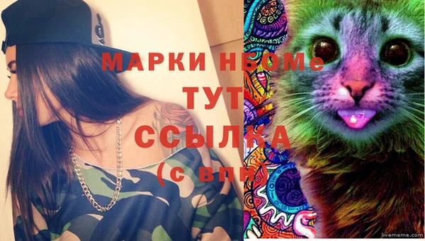 шишки Арсеньев
