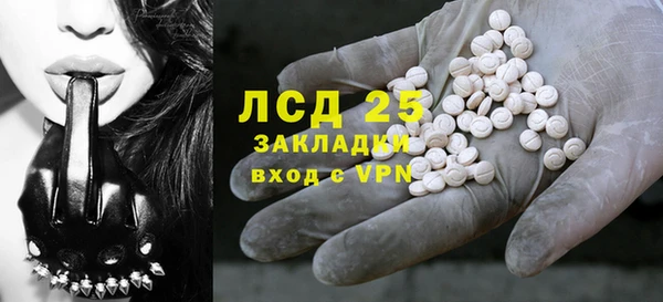шишки Арсеньев