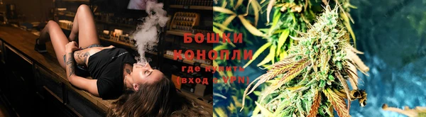 шишки Арсеньев