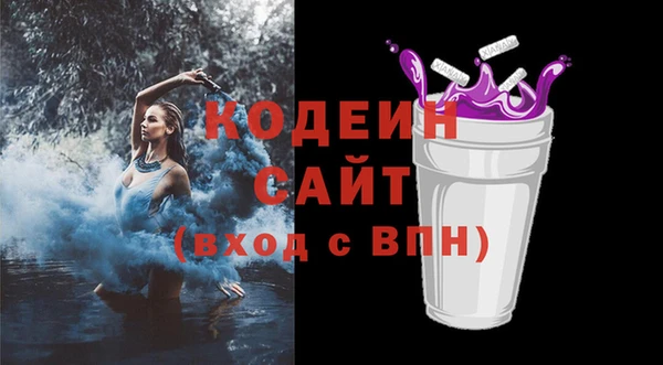 шишки Арсеньев